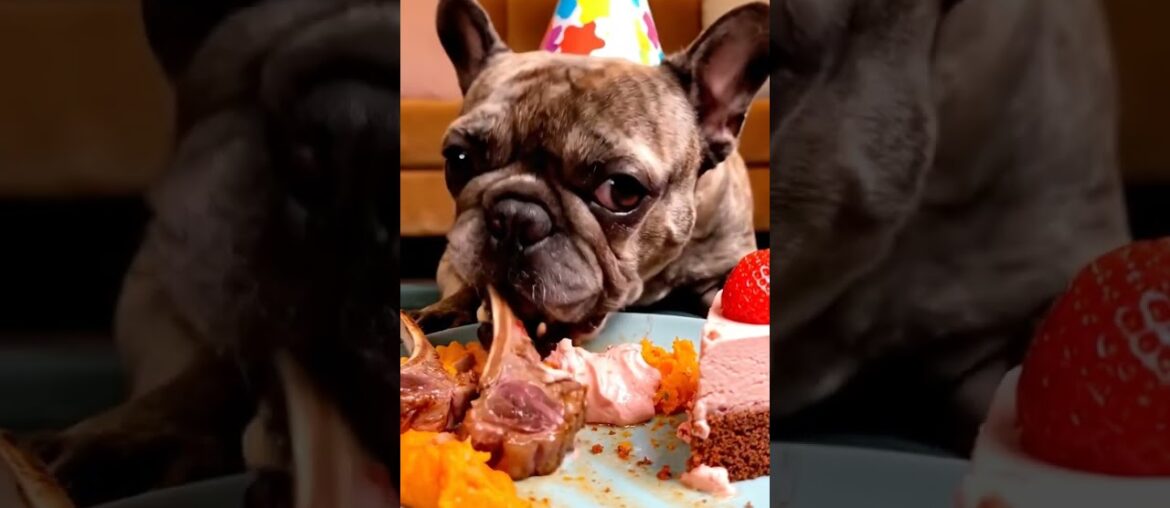 Rare Isabella Frenchie’s FIRST ASMR Mukbang   #ASMRDog #FrenchBulldog #IsabellaFrenchie #DogEating