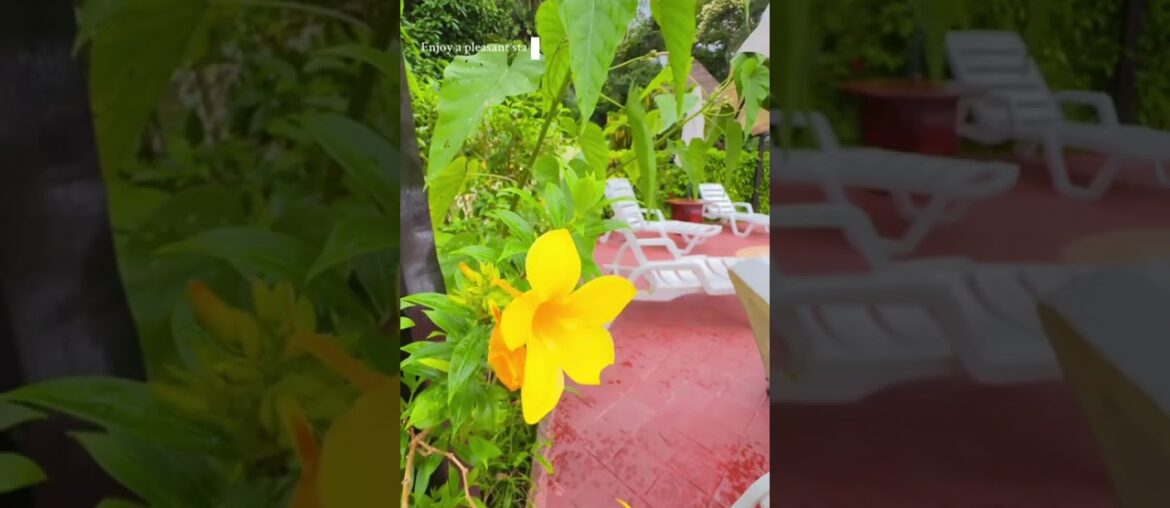 The Best Amazon Lodge in Peru? Corto Maltes Amazonia in Puerto Maldonado
