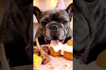 Rare Isabella Frenchie’s FIRST ASMR Mukbang   #ASMRDog #FrenchBulldog #IsabellaFrenchie #DogEating