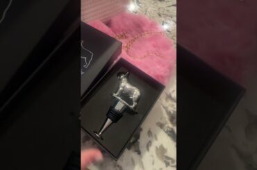 CUTEST French bulldog wine stopper!