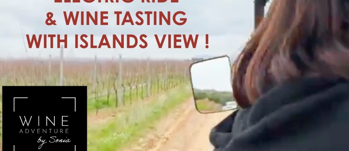 "Electric Ride & Wine Tasting" with islands view on the French Riviera
