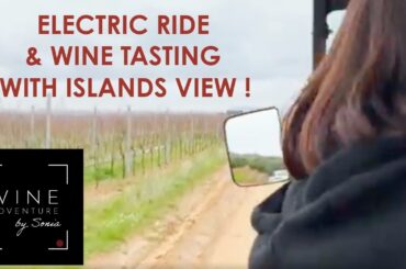 "Electric Ride & Wine Tasting" with islands view on the French Riviera