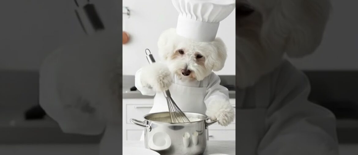 ๐จ๐ต๋น์ ์
ฐํ์ ์ฐ์ํ ํ๋ ์น ๋ค์ด๋๐ฝ ‘Elegant French Dining with a Bichon Chef’ ๐ฝ ๐จ๐ต๋น์ ์
ฐํ์ ์ฐ์ํ ํ๋ ์น ๋ค์ด๋๐ฝ 'Elegant French Dining with a Bichon Chef' ๐ฝ