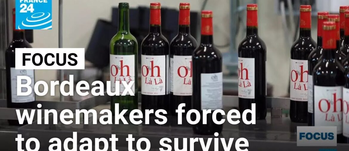 Winemakers of France's Bordeaux region forced to adapt to survive • FRANCE 24 English