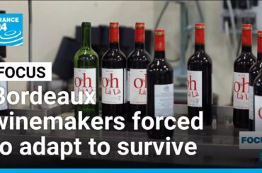 Winemakers of France's Bordeaux region forced to adapt to survive • FRANCE 24 English
