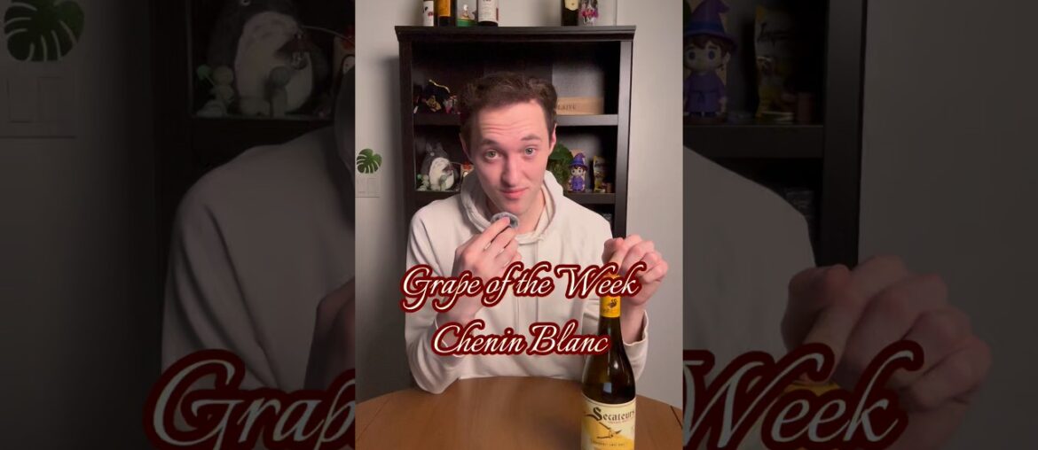 Let’s talk CHENIN BLANC #somm #wineexpert #education #wineconnoisseur #winelover