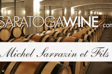 Stop Overpaying for Burgundy! 🍷 Tasting Michel Sarrazin (Côte Chalonnaise)