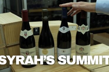 Hermitage — Where Syrah Reaches Its Peak