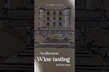 Wine Tasting Rosé in #provence 🍷 | Château de Brégançon Vineyard 🇫🇷 #shorts