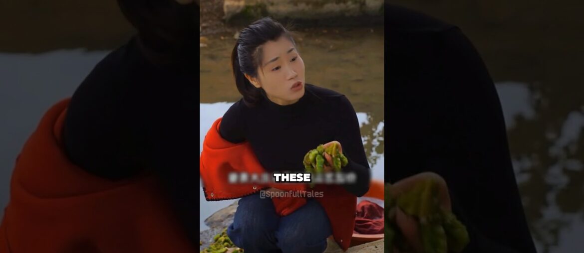 She Turned Bean Worms Into a Gourmet Feast! #shorts #food #asmreating #tiktok She Turned Bean Worms Into a Gourmet Feast! #shorts #food #asmreating #tiktok