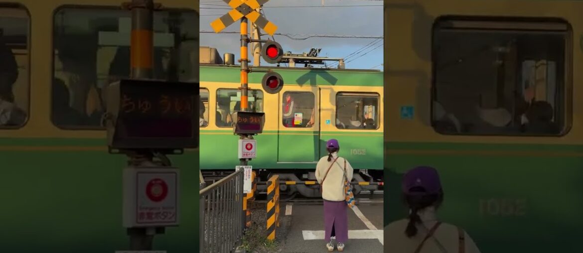 🧂✨ 82 Minerals French Grey Sea Salt – Premium Hand‑Harvested Sel Gris (4oz) ✨🧂