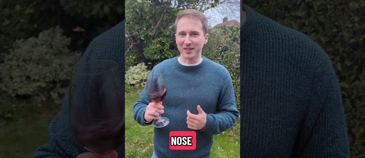 My Alain Grignon Reserve Carignan tasting notes #wineshorts #wine #redwine #frenchwine #winterwine