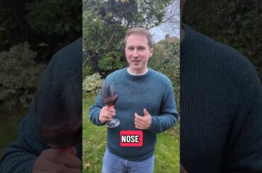 My Alain Grignon Reserve Carignan tasting notes #wineshorts #wine #redwine #frenchwine #winterwine