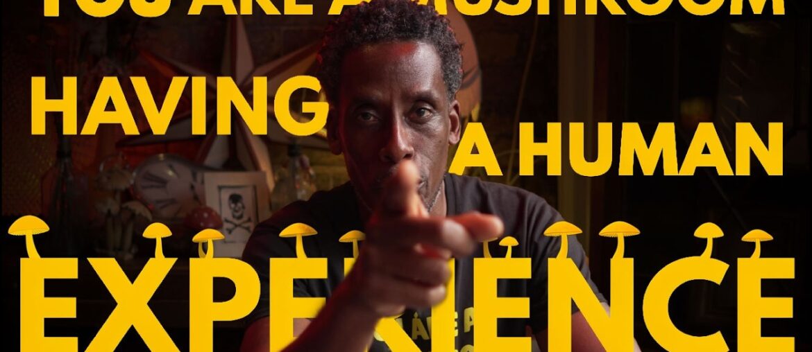 You are a Mushroom having a Human Experience | Darren Le Baron