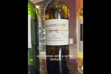 3 Sauvignon Blancs, 3 Completely Different Flavors #winelover #tastingvideo
