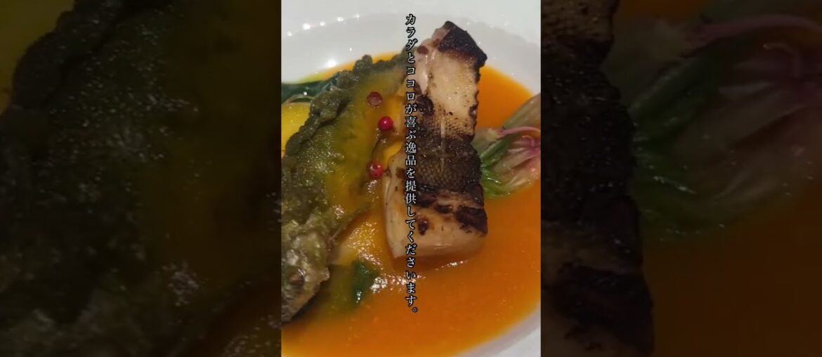 【広島グルメ】SHIMALABO(シマラボ)さん✨ SHIMALABO is hirshima high end gourmet Japanese french place🇯🇵🍽️🌃🍷! 【広島グルメ】SHIMALABO(シマラボ)さん✨ SHIMALABO is hirshima high end gourmet Japanese french place🇯🇵🍽️🌃🍷!