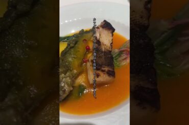 【広島グルメ】SHIMALABO（シマラボ）さん✨ SHIMALABO is hirshima high end gourmet Japanese french place🇯🇵🍽️🌃🍷！