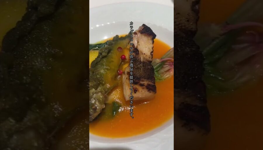 【広島グルメ】SHIMALABO（シマラボ）さん✨ SHIMALABO is hirshima high end gourmet Japanese french place🇯🇵🍽️🌃🍷！