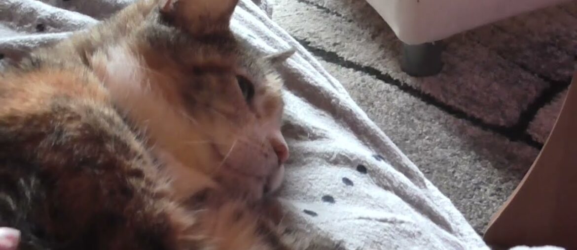 Susi die kleine Genießerin