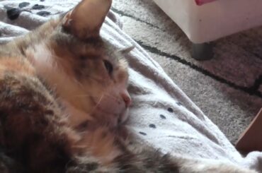 Susi die kleine Genießerin