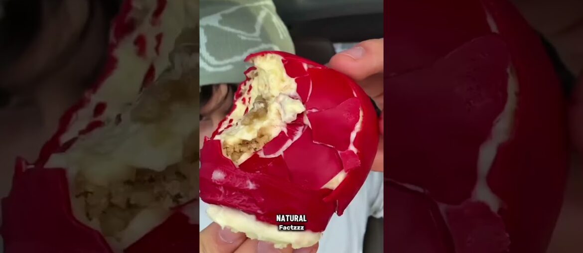 French pastries feel illegal