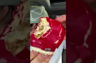 French pastries feel illegal