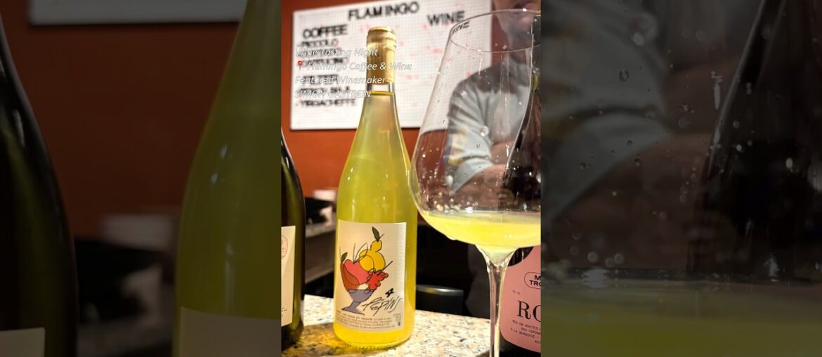 🇸🇬ワインテイスティング🍷✨フランス・北ローヌのSimon Gastrein Wines
