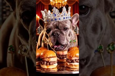 Rare Isabella Frenchie’s FIRST ASMR Mukbang   #ASMRDog #FrenchBulldog #IsabellaFrenchie #DogEating