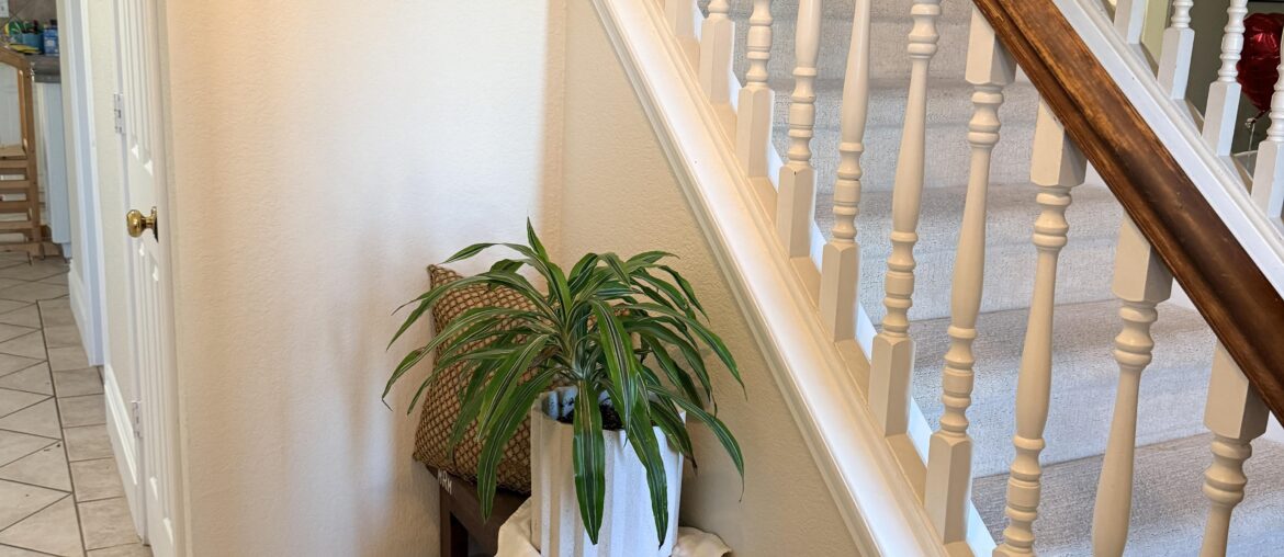 Entryway shoe storage ideas?