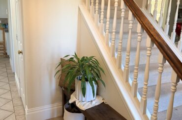 Entryway shoe storage ideas?