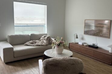 What do you think of my idea for my living room?