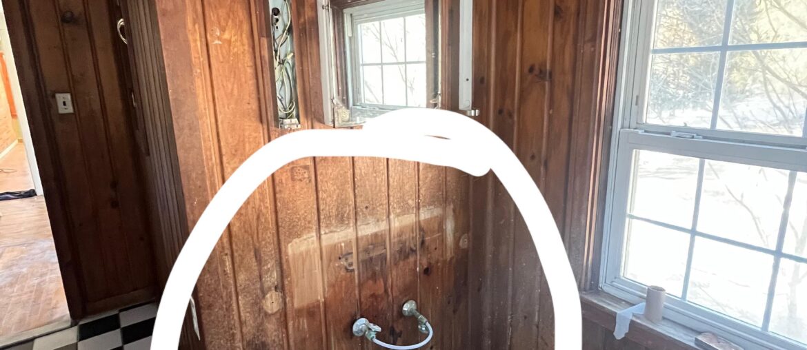 Redo delimma- Paneling paint all or just section.