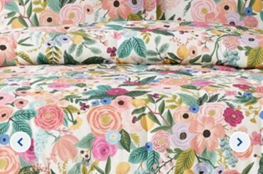 Looking for rug suggestions