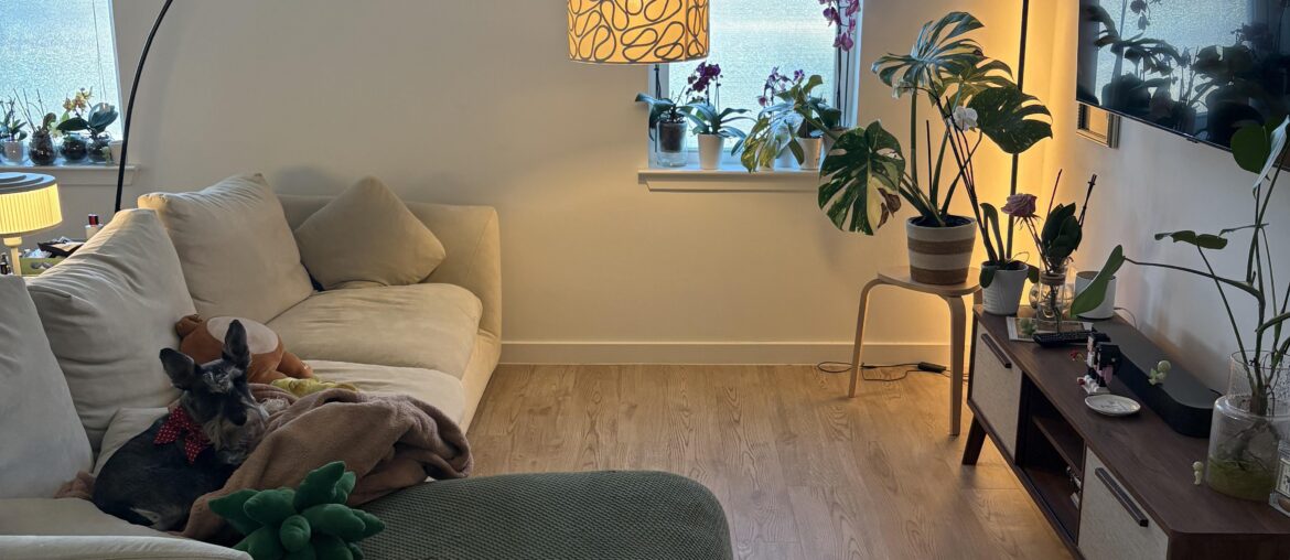 i want to get a rug, i want my living room to look more moody, i think everything is too light, any suggestions?