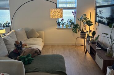 i want to get a rug, i want my living room to look more moody, i think everything is too light, any suggestions?