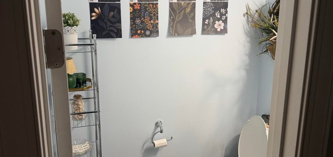 Wallpaper options for water closet