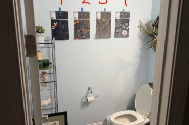 Wallpaper options for water closet