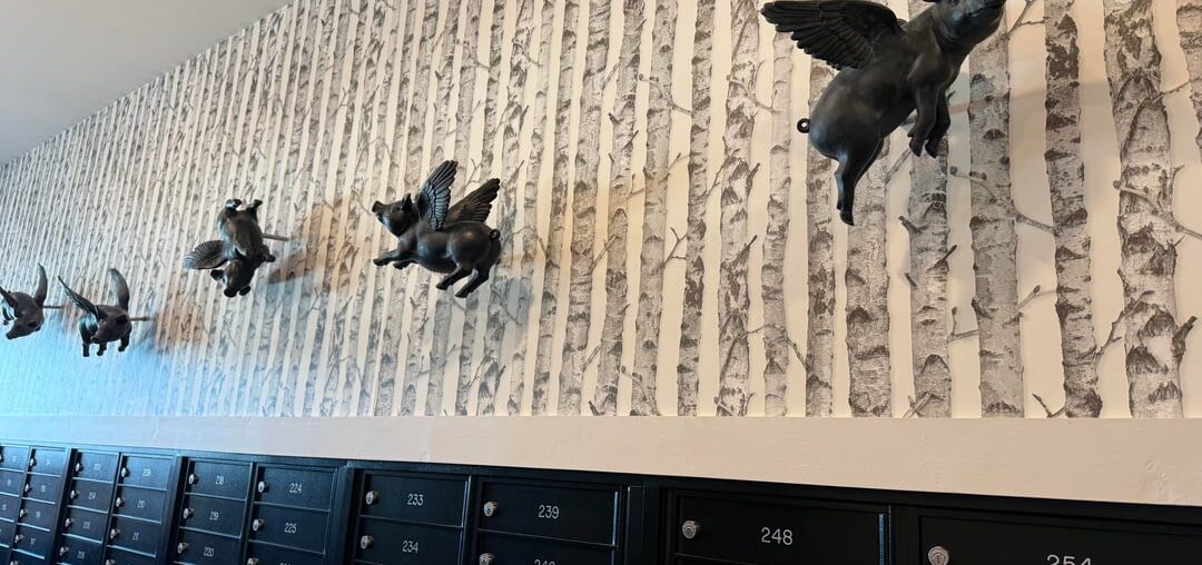 Where to find these pig decorations?