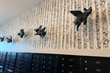 Where to find these pig decorations?