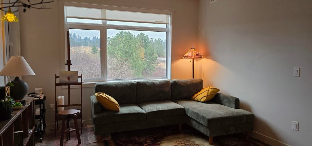 Need curtain opinions!