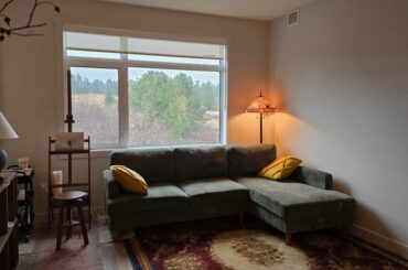 Need curtain opinions!