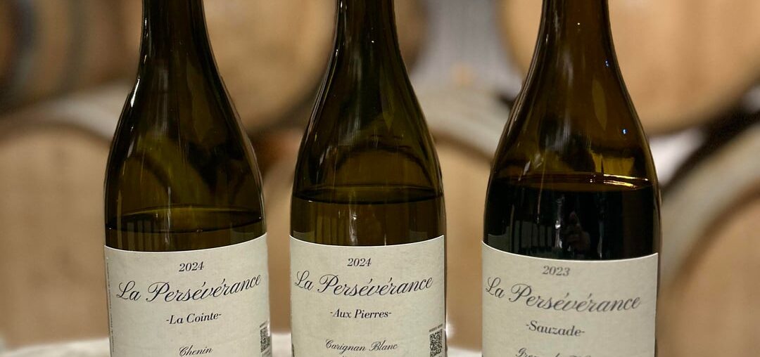 La Persévérance - Mormoiron (Southern Rhône Valley) - Ventoux