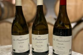 La Persévérance - Mormoiron (Southern Rhône Valley) - Ventoux