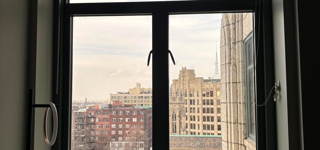 Cat safe window coverings?