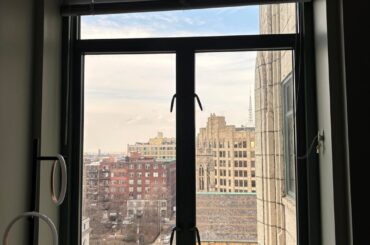 Cat safe window coverings?