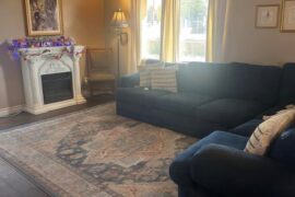 Requesting Peach & Blue Area Rug Recommendations