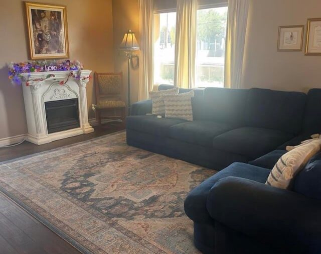 Requesting Peach & Blue Area Rug Recommendations