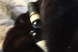 Help me find this wine!