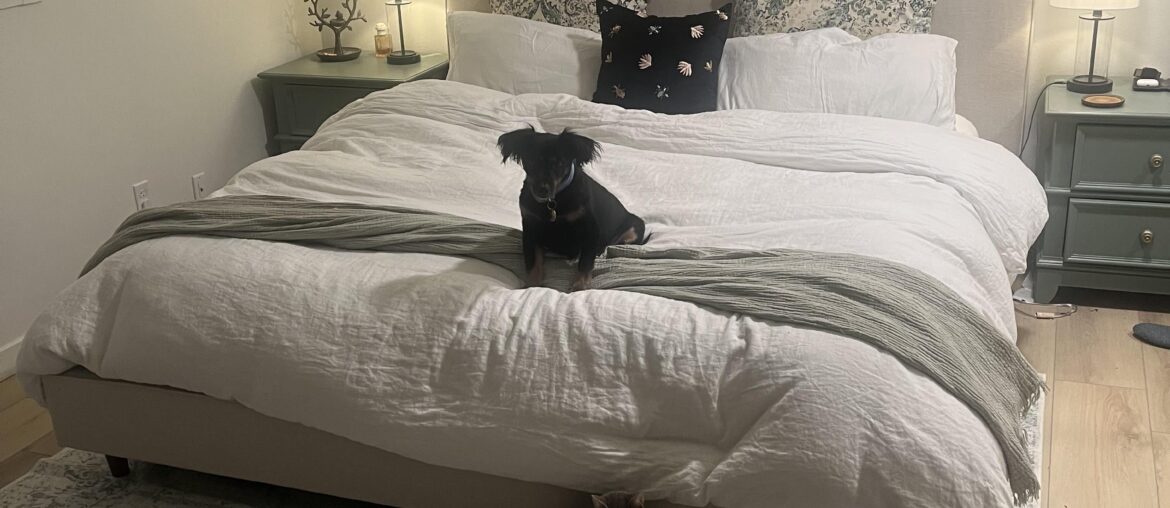 Should I add art above the bed? It feels like it's missing something