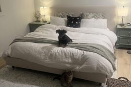 Should I add art above the bed? It feels like it's missing something